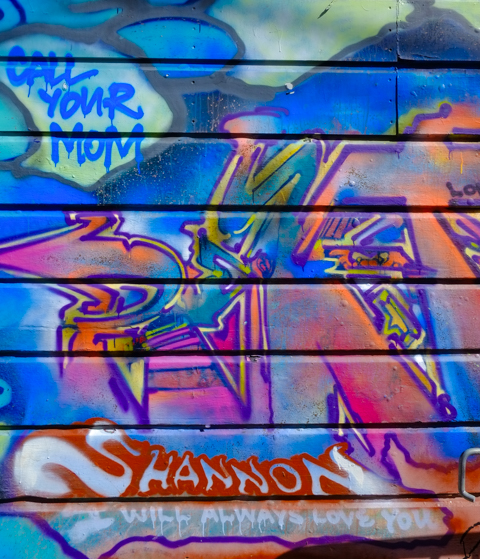 street art in San Francisco including text that says call your mom. Also text that says Shannon, I will always love you.