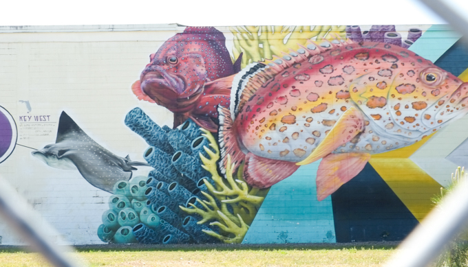 part of a street art mural, a gray manta ray, a coral reef, and two grouper fish