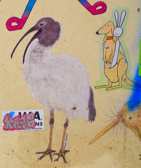 slaps on a door, a white bird with long legs and long curved beak, also black head, another graffiti piece that is a kangaroo with a white rabbit in its pouch 