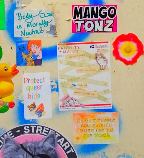 stickers on a door, all with text, body size is morally neitral, protect queer kids, my cat thinks you should vote no to the voice, and a priority mail sticker with a little white cat and the words, read books and dismantle the [illegible] of oppression