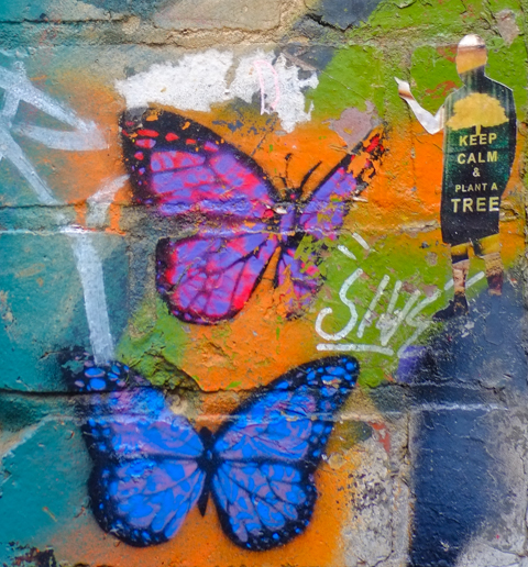 urban art in AC DC lane in Melbourne, sticker that says keep calm and plant a tree