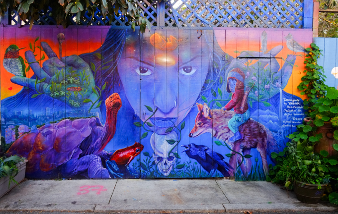 mural, Cosmogonia by Chilovia, Raiz Peskado, dedicated to Andres Hernandez, on a wood fence in a lane in San Fran, blue woman with a hummingbird on her hand, boy riding a wolf, turtle, frog, and other flora and fauna