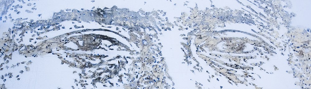 eyes, from a mural by Vhils in Honolulu, made by chipping away layers of concrete to reveal different shades of grey, portrait of a man,