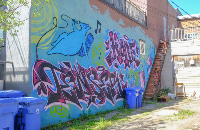 blue raccoon with a microphone, Emily May rose mural in Owen Sound