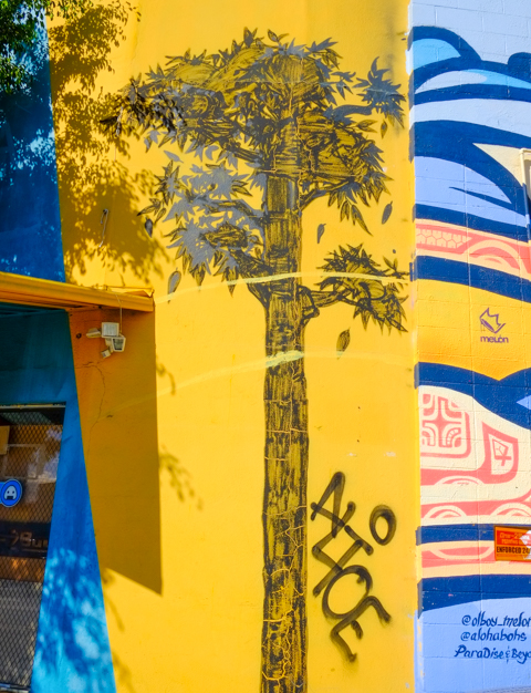 street art painting of a tree, very tall with some leaves, on a bright yellow background. 