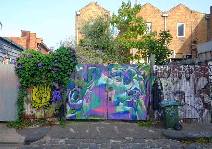 Michelangelo portrait in many colours, on wood fence in alley, 