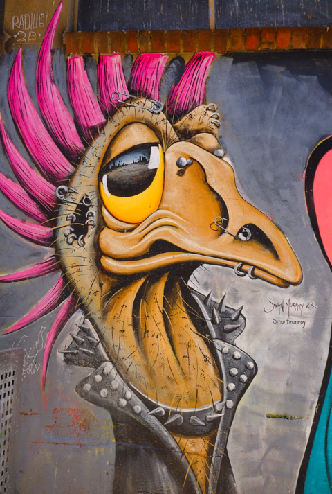 crazy emu, street art in Warburton Lane, Melbourne by John Murray, pierced ears and punk pink hair on the emu