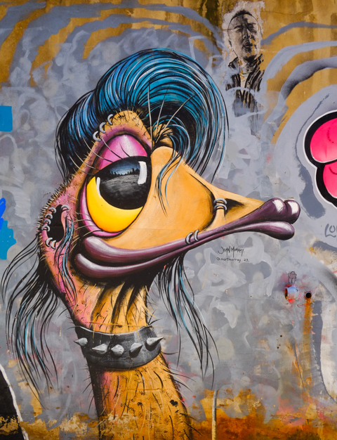 crazy emu, street art in Warburton Lane, Melbourne by John Murray,