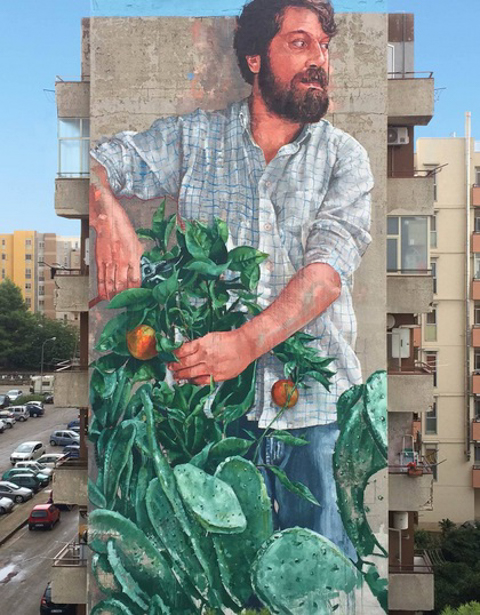 fintan magee mural, the gardener, a man with a tomato plant and a prickly pear cactus