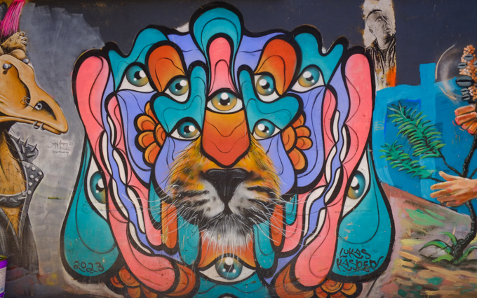 street art in Warburton Lane, Melbourne by Lukas Kasper of a lion face with very realistic furry nose but stylized abstract rest of face