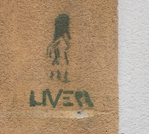 stencil graffiti in Palermo