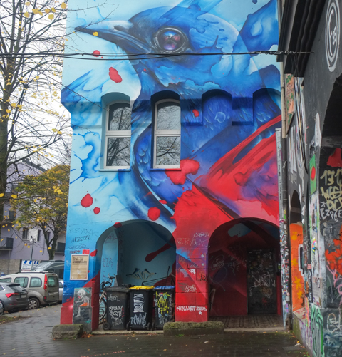 large mural on Kiefernstrasse of a blue bird, dark blue eye, with red near the bottom of the mural, on a wall with two arches at street leel 