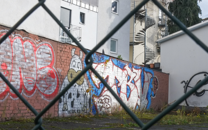 urban art on a brick wall, behind chainlink fence, one is a black and white cow by the kuhl kid
