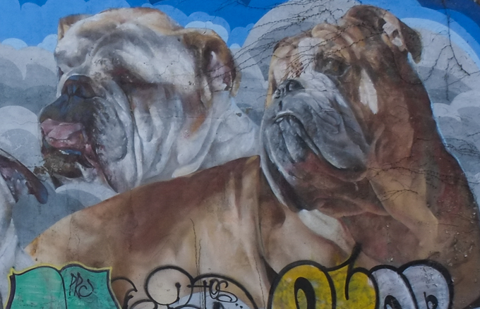 part of larger mural by Fonki of bulldogs and pugs