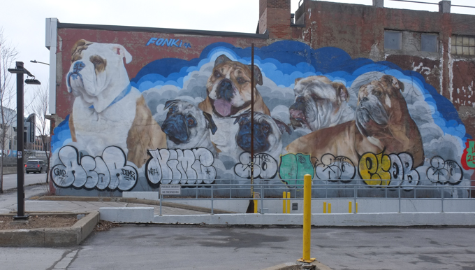 Mural of group of dogs, bulldogs and pugs, by artist Fonki,