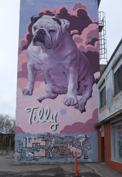 Tilly dog mural by Kevin Ledo,