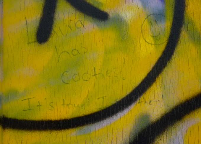 graffiti that is all text, words that say Laura has cooties.  It's true, I saw them!