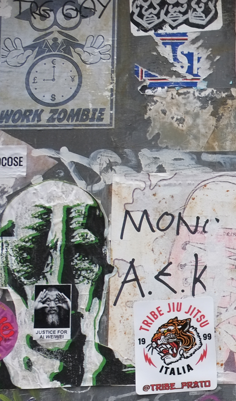 graffiti, work zombie, justice for Wei Wei, tribe jiu jitsu italia, a man's face in green and black