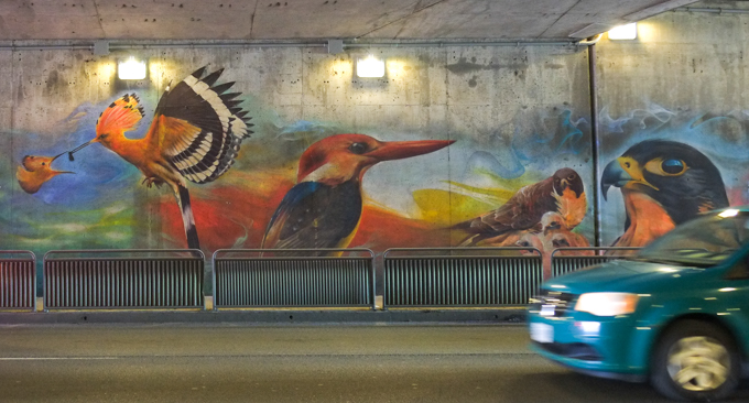 part of an animal themed mural by Nick Sweetman in Toronto