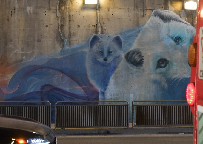 part of an animal themed mural by Nick Sweetman in Toronto, fox