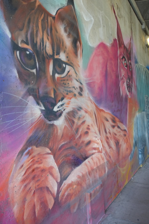part of an animal themed mural by Nick Sweetman in Toronto, cat