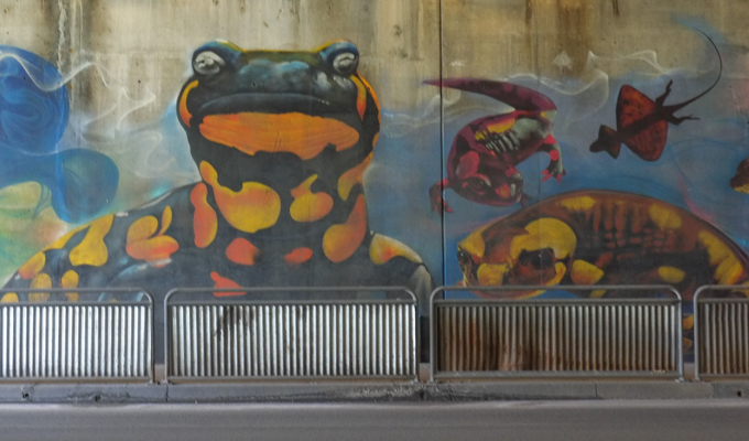 part of an animal themed mural by Nick Sweetman in Toronto, frog, lizard