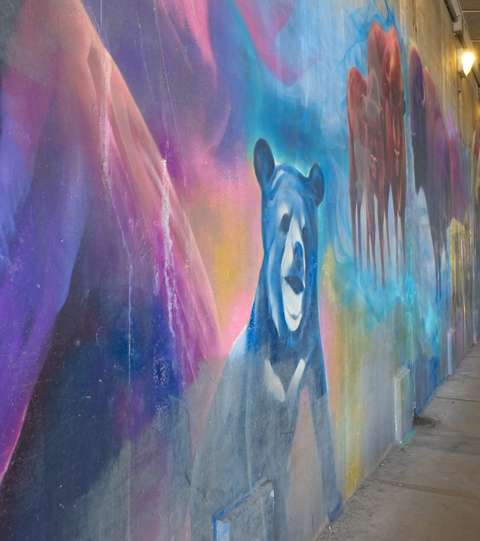 part of an animal themed mural by Nick Sweetman in Toronto, bear
