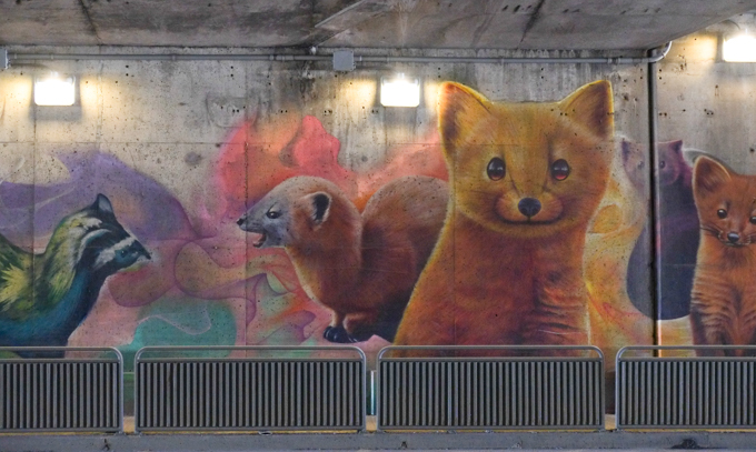 part of an animal themed mural by Nick Sweetman in Toronto,fox