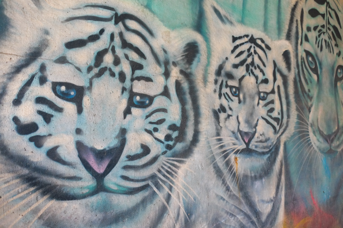 part of an animal themed mural by Nick Sweetman in Toronto, white tigers