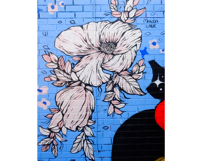 street art mural in Mirka Lane, St. Kilda, white flowers by Manda Lane