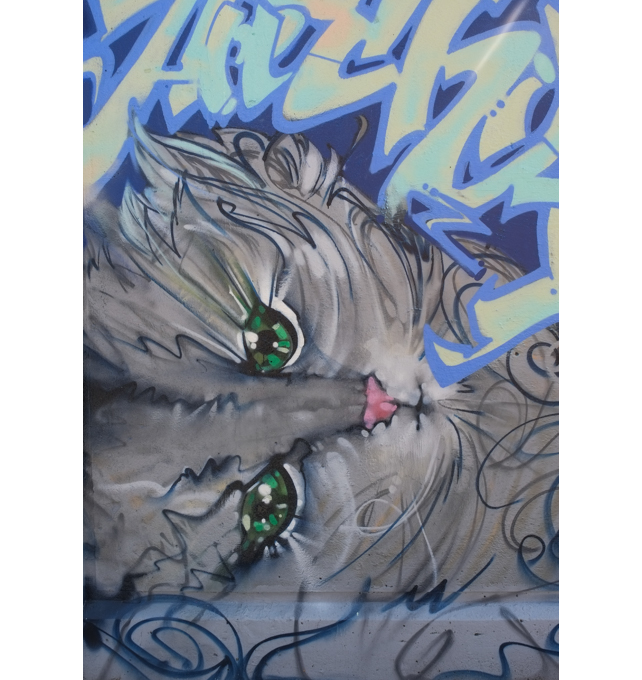 street art mural on wall of railway underpass on Bloor street West, a grey cat with green eyes and a little pink nose