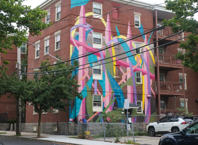 mural by El Cekis, in salem, bluish green leaves growing against a pinkish chainllink fence, another pink fence, and a loopy yellow fence