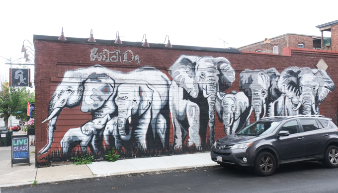 mural, a row of grey elephants on brown background, mural in Salem