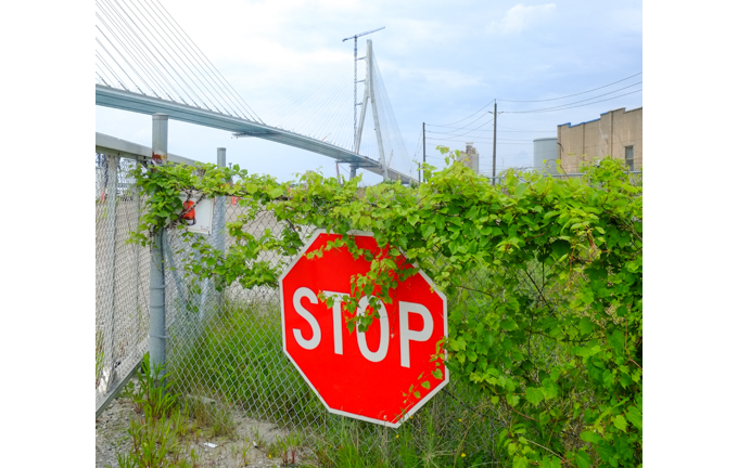 Stop sign on a fence overgrown with greenery, at the end of a road by a construction site for the Gordie Howe bridge
