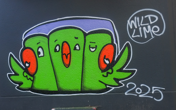 three cartoon parrots, mural by wild lime
