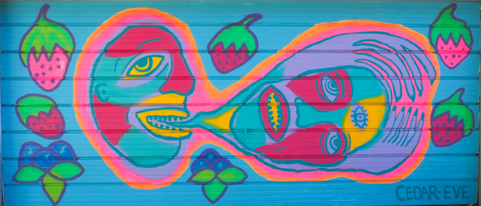 street art mural on garage door in Miriam Garfinkle Lane, by Cedar Eve