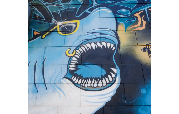 part of a mural by Persue, Dave Persue Ross, sharks vs tiger, shark with yellow sunglasses and a piercing - gold hoop 