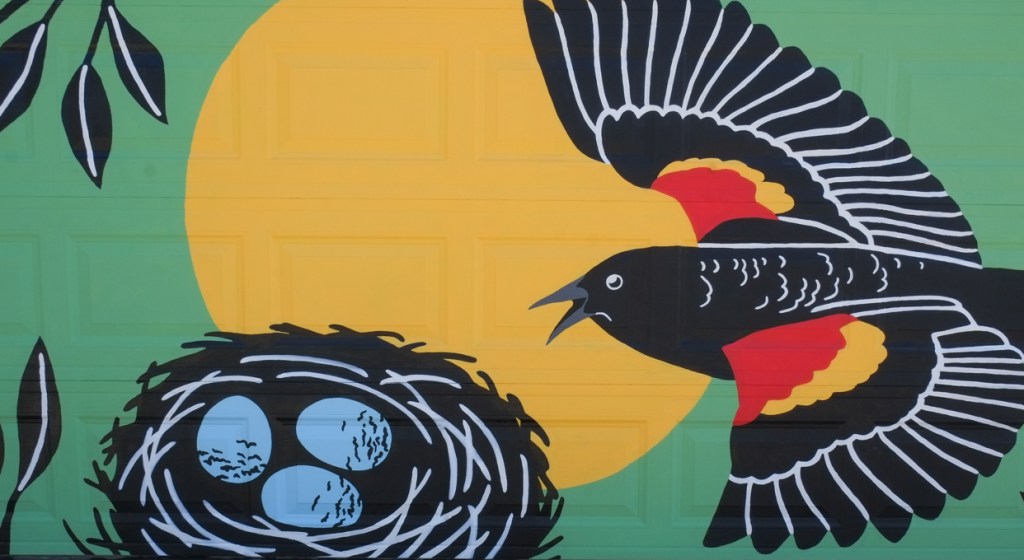street art mural on garage door in Miriam Garfinkle Lane, by Talie Shalmon, s large red wing blackbird flying towards a nest withthree blue eggs in it