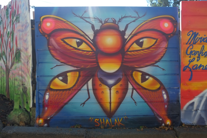 street art mural on garage door in Miriam Garfinkle Lane, by Shalak Attack